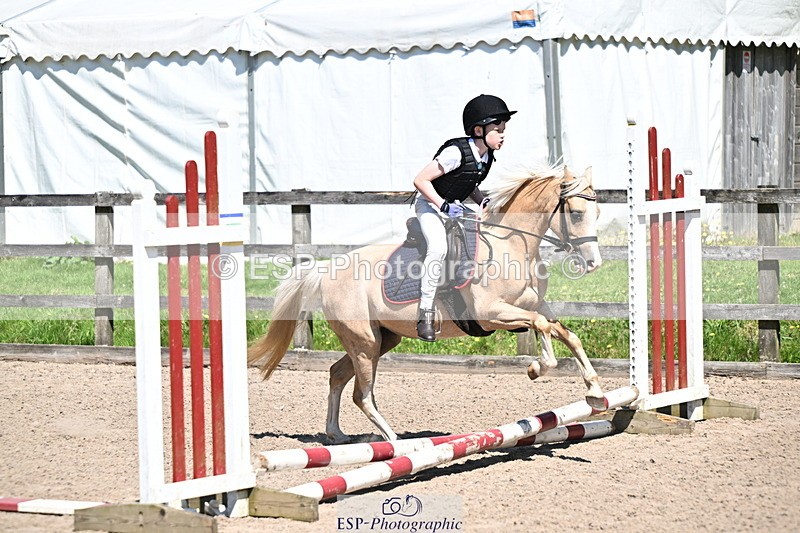 240729B-114322-02511 - Showjumping Competition