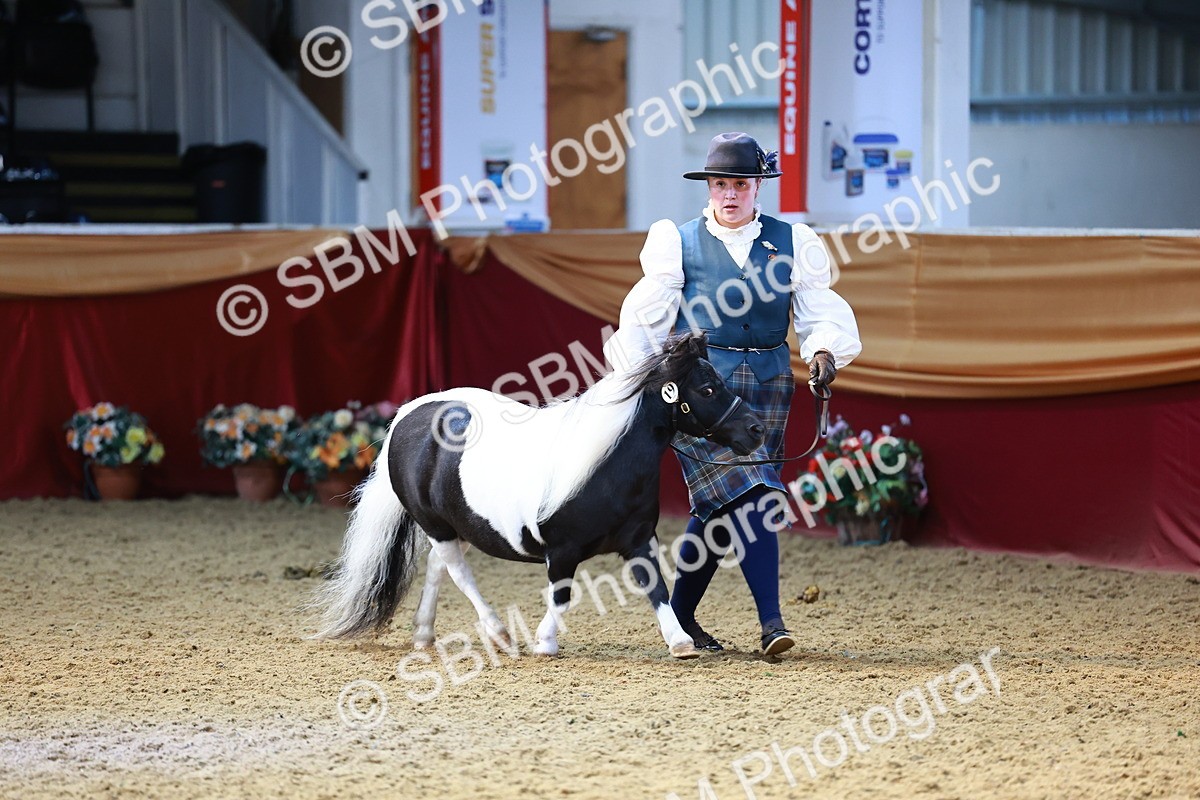 SBM_23115 - Class 903 - Supreme Final - IH Pre Vet