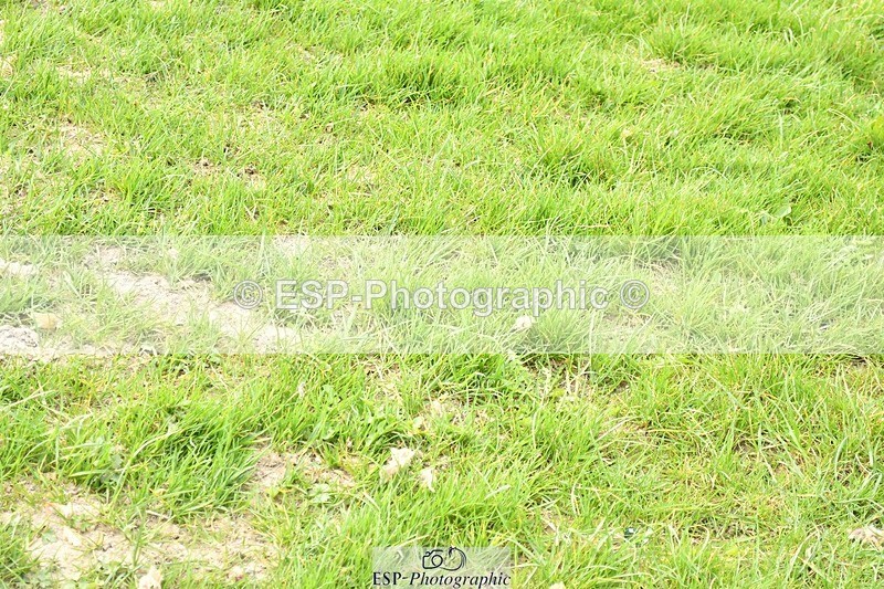 250329-134559-04947 - Cls 23 95cm National Amateur Quali