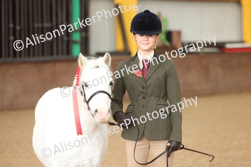 20251109-0567 - Class 21 - Mares 4 Years and over