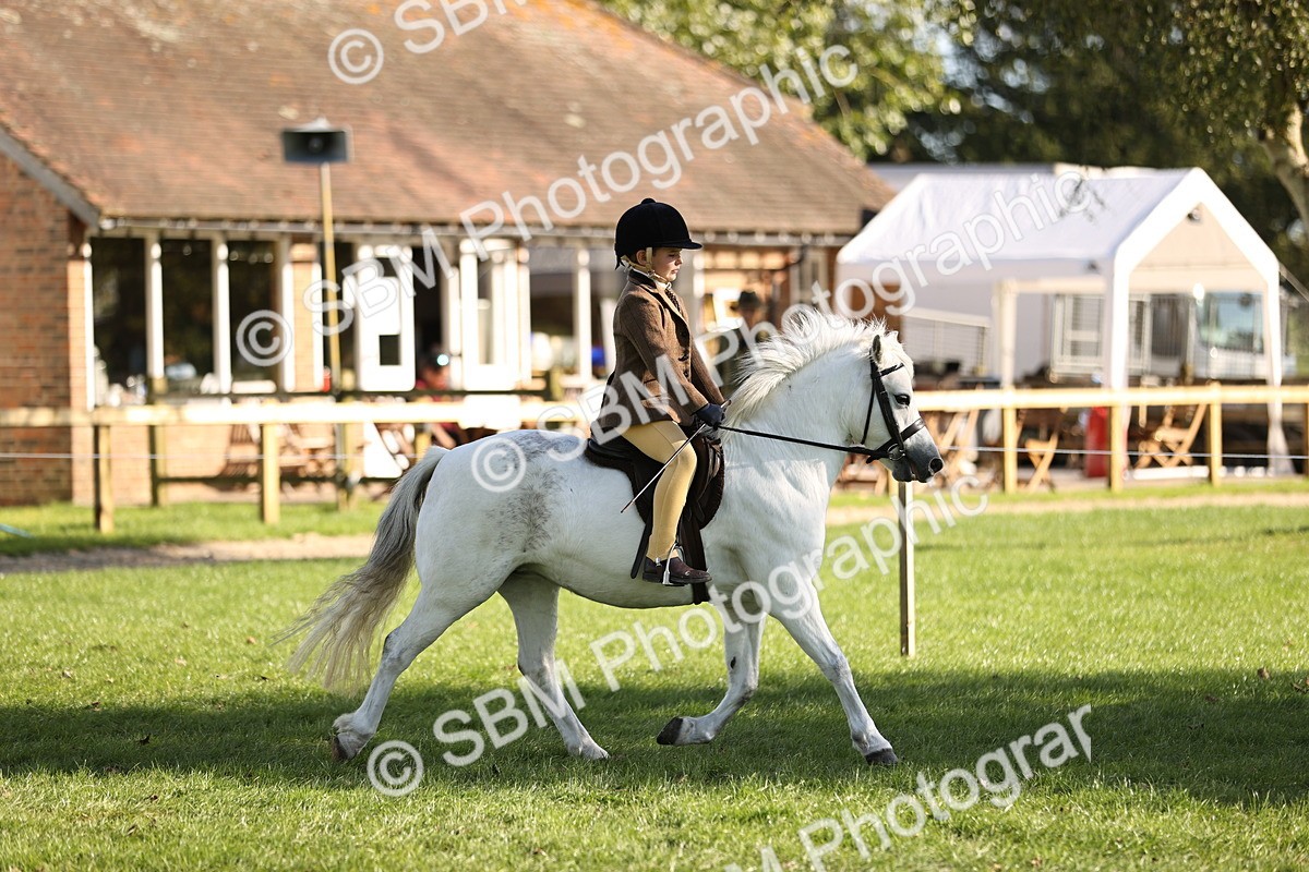 SBM_29320 - S7 - Novice & Newcomers Ridden Pony
