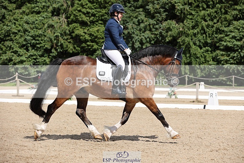 240721-151615-09665 - 300-Alison_Crimp-Crwys_Beau