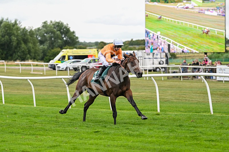 180825-Race 4-Alther Walden-8728 - Race 4