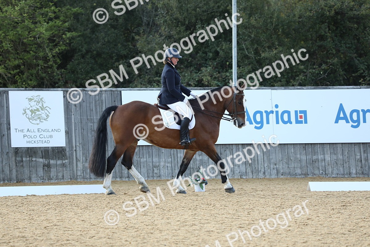 SBM_28650 - D20 - Grand Tour Championship - Elementary 44