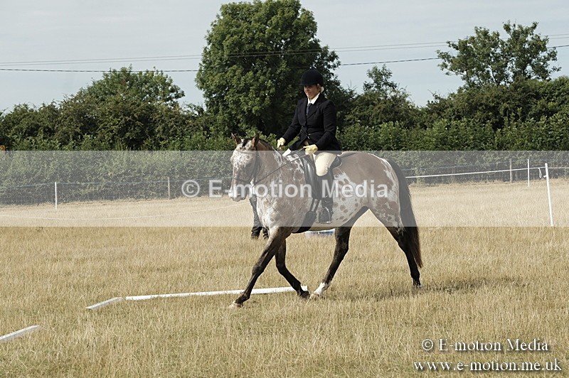 _PJP5711 - Dressage Classes BVRC Show 2018