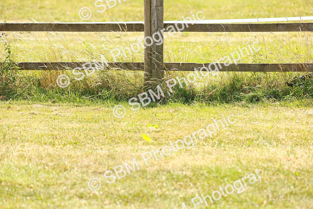 SBM_002928 - Class 14-15 - GFS Senior Newcomers - 1.10m - Senior 1.15m Open