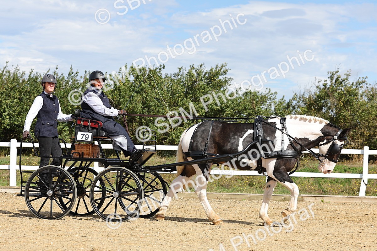 SBM_000865 - Class 8 - Novice Horse or Pony to any vehicle