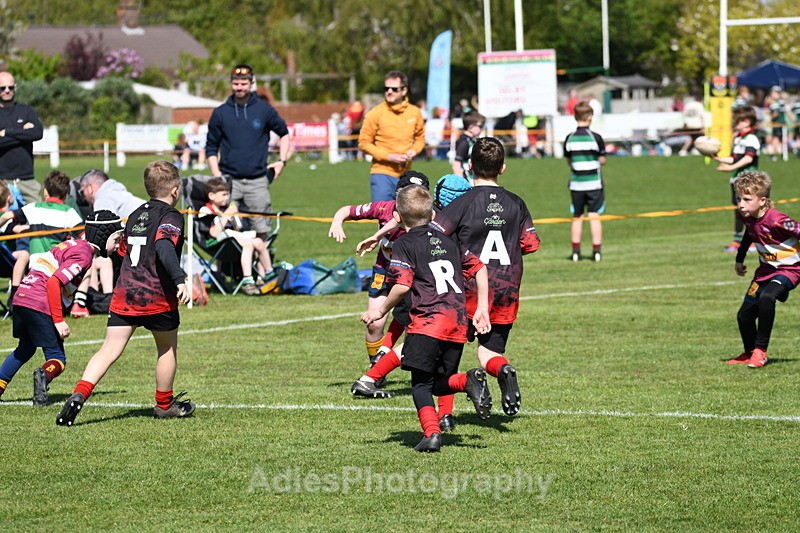  - Selby Rugby Festival 2025