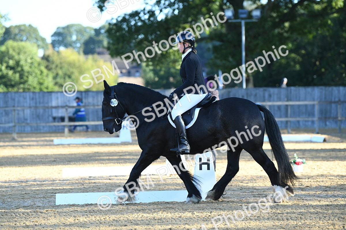 SBM_14503 - D4 - Small Tour Championship - Intro B