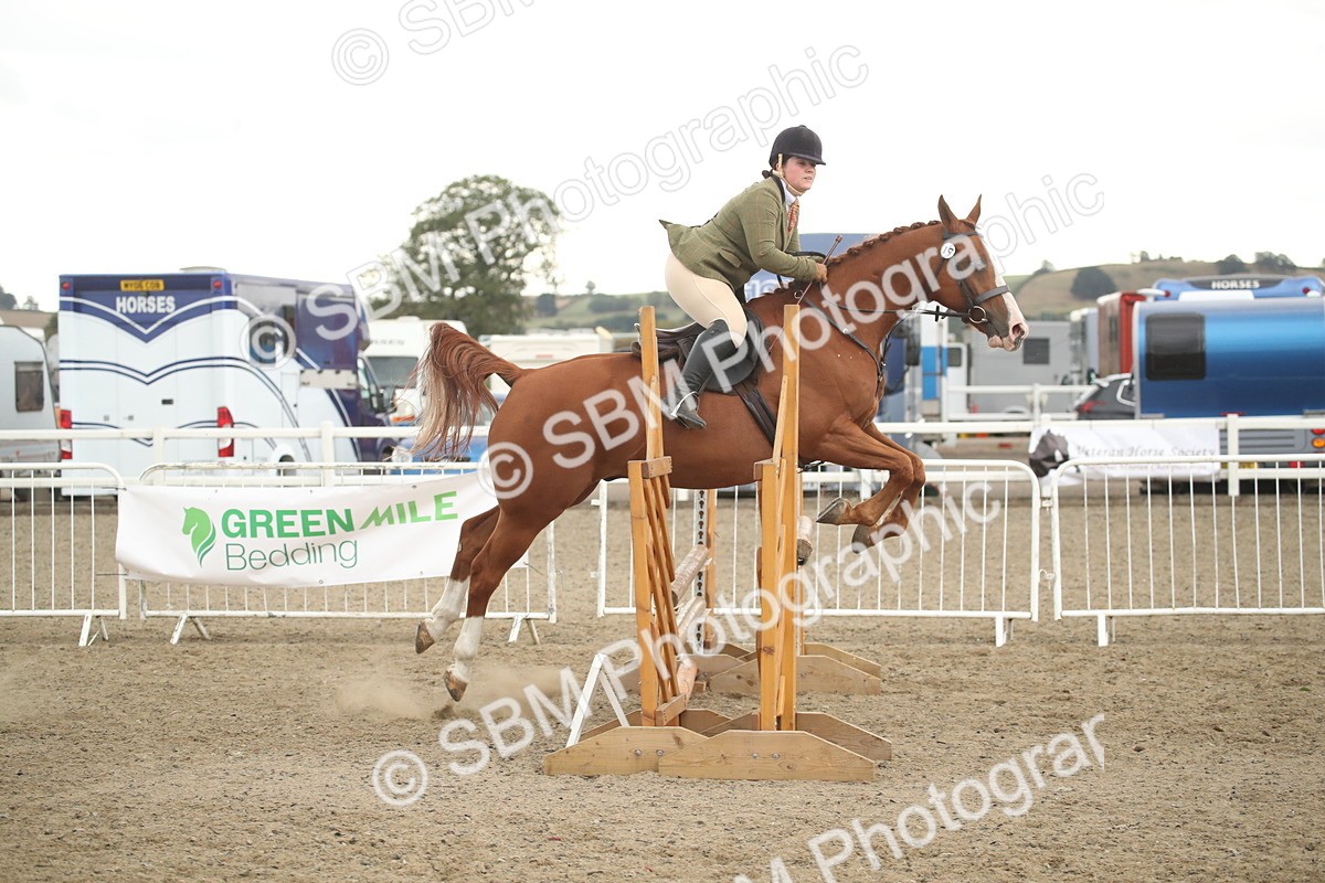 SBM_18464 - Class 510a - Working Veteran 90cm (15-19)