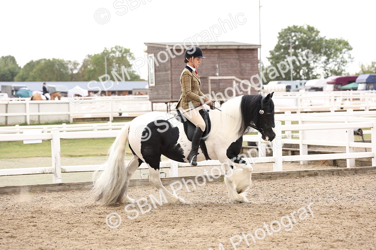 SBM_04191 - Class 54 - Riding Club Horse/Pony