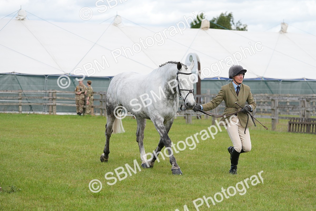 SBM_14899 - Class 100-102 - RIHS Working Hunter