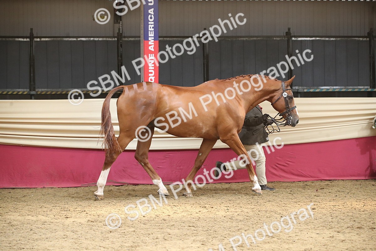 SBM_05574 - Class 9R - Regional IH Pre-Vet