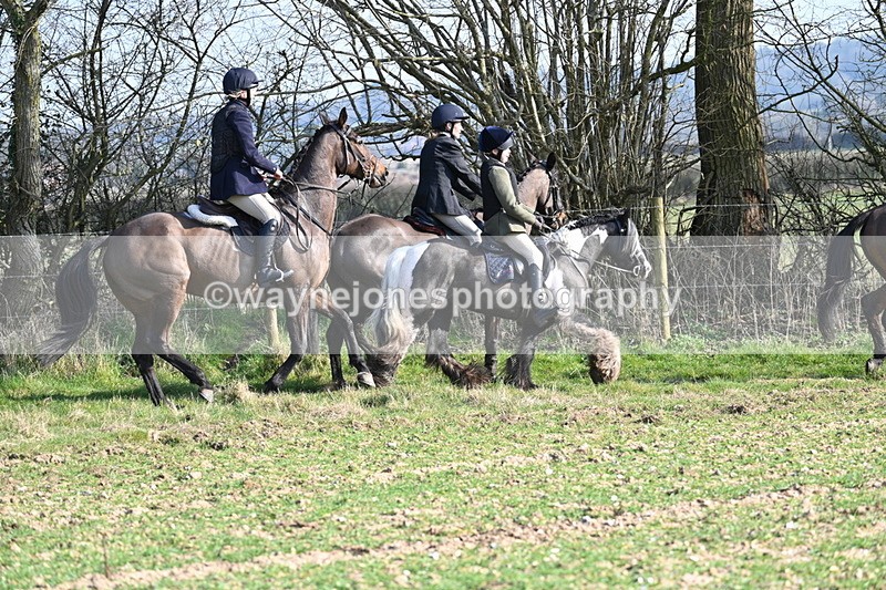 WJ7_5937 - Camera A
