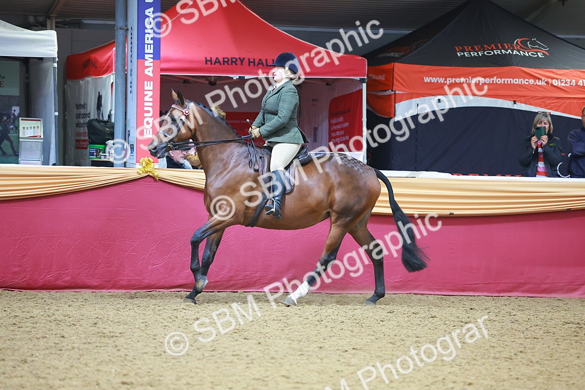 SBM_10652 - Class 103 - HOYS Veteran Qualifier - Ridden Pre Vet