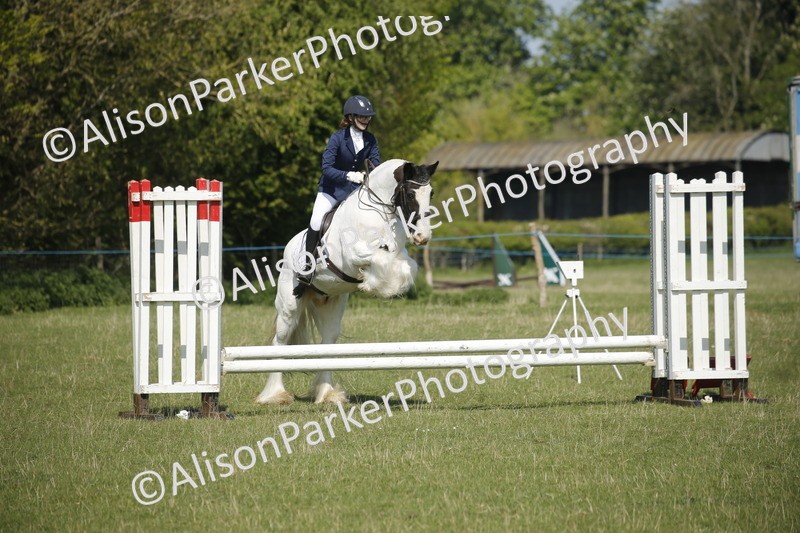 20250427-1993 - Class 13 - Novice Jumping 60cm