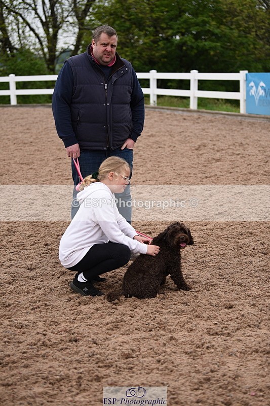 240518A-122216-01127 - Cls 4 Best Crossbred