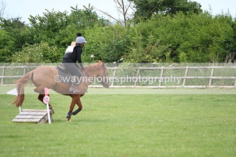 WJ6_2215 - Class 2 40cm