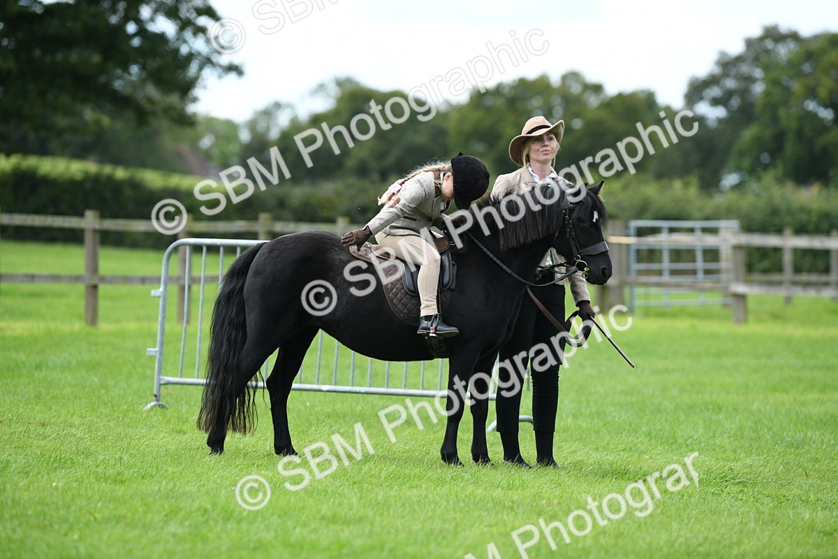 SBM_42549 - S20 - Lead Rein Mountain & Moorland Pony