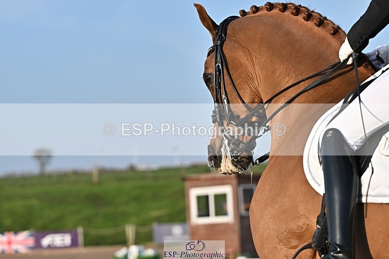 250404-183411-08714 - 150-Nathalie.Wahlund-Cerano.Gold