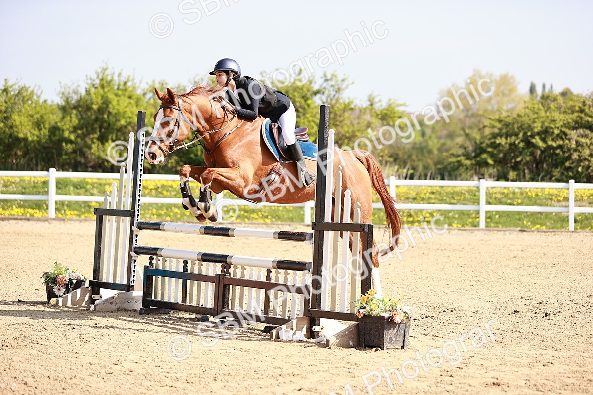  - Class 21 - Senior British Novice - 90cm