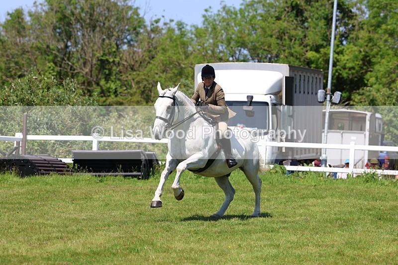 3E7A8373 - Class 13: Ridden Hunter