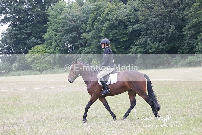 BVRC 030721 810 - Bourne Valley Riding Club Dressage 03/07/21