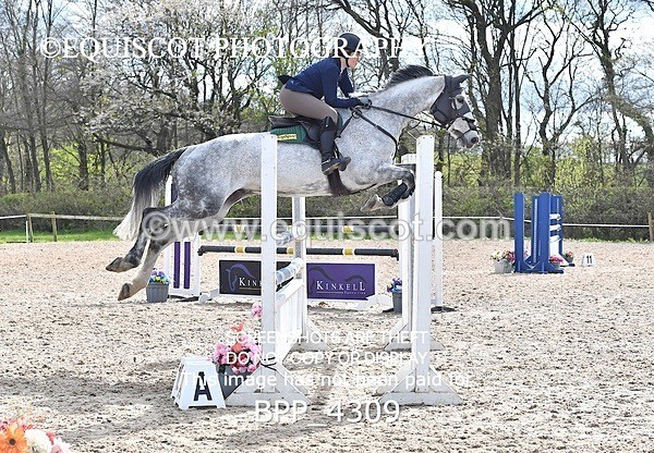 BPP_4309 - CLASS 8 FRI Senior Foxhunter/ 1.20m Open
