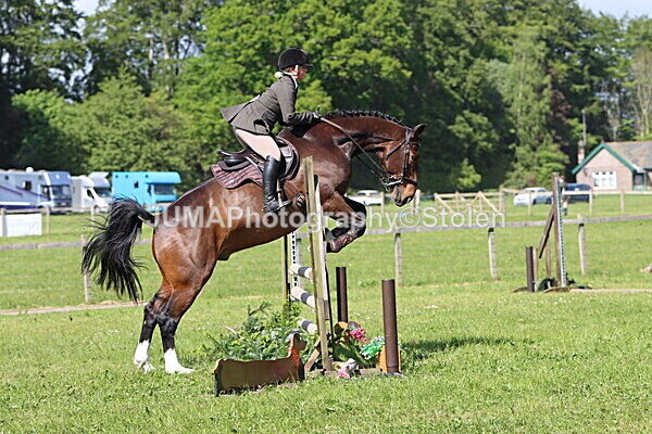 IMG_4802 - Working Hunter