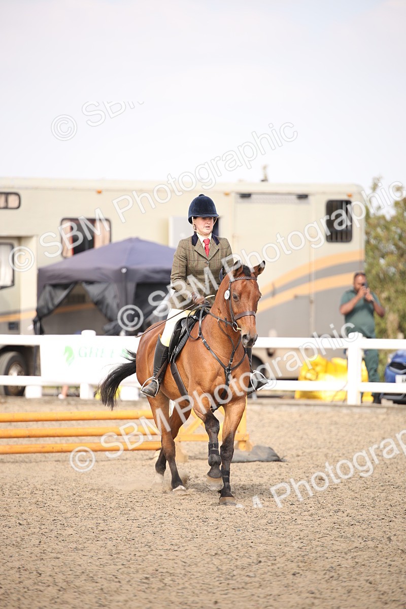 SBM_14144 - Class 407a - Working Veteran 60cm (15-19