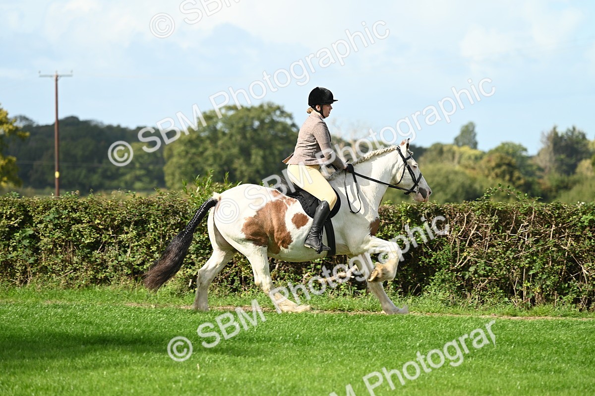 SBM_01856 - S2 - TSR Ridden Horse Showing
