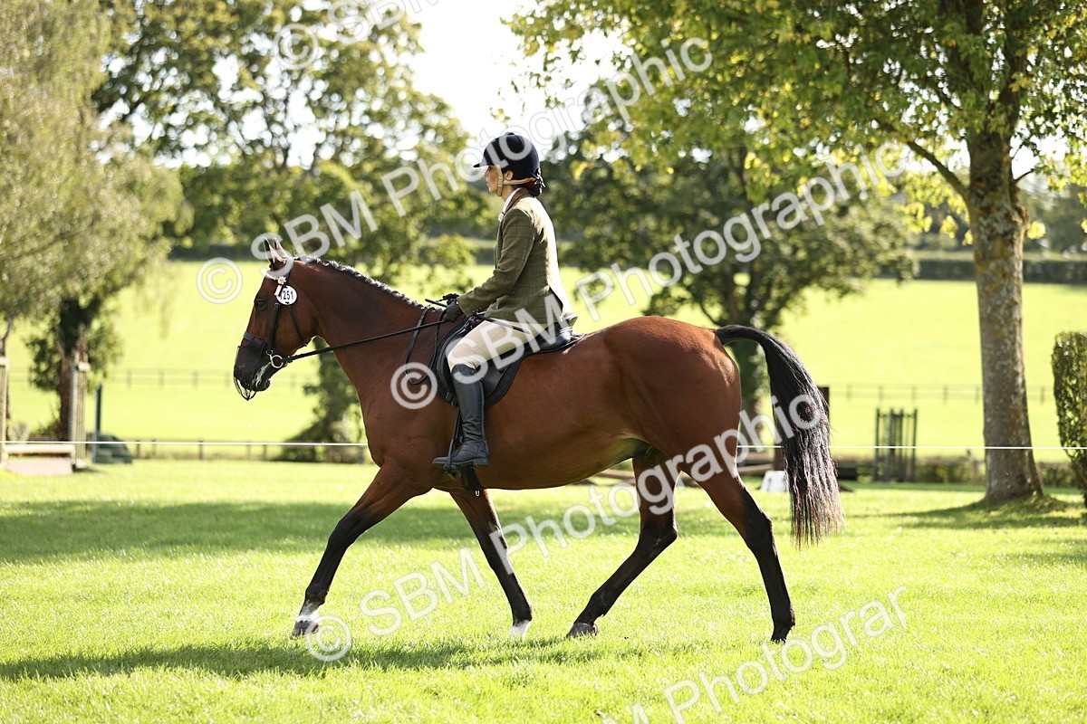 SBM_26381 - S6 - Novice & Newcomers Ridden Horse