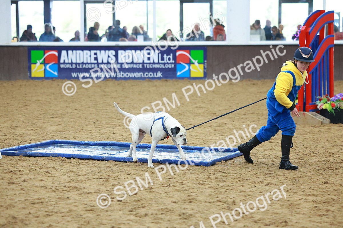 SBM_002309 - Class 3 - Horse & Hound (60cm)