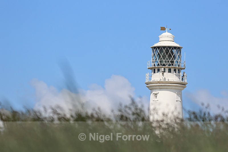 Lantern of Flamborough Head Lighthouse, Yorkshire - Yorkshire, England