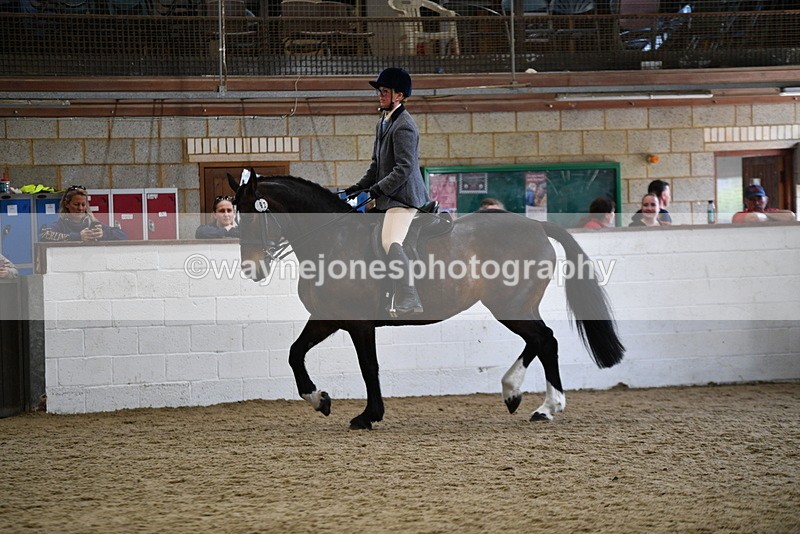 WJ5_7756 - Class 13 Ridden Part Breed