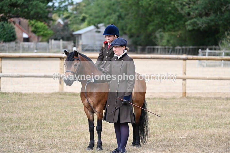 WJ7_6478 - Class 1 Lead Rein Pony