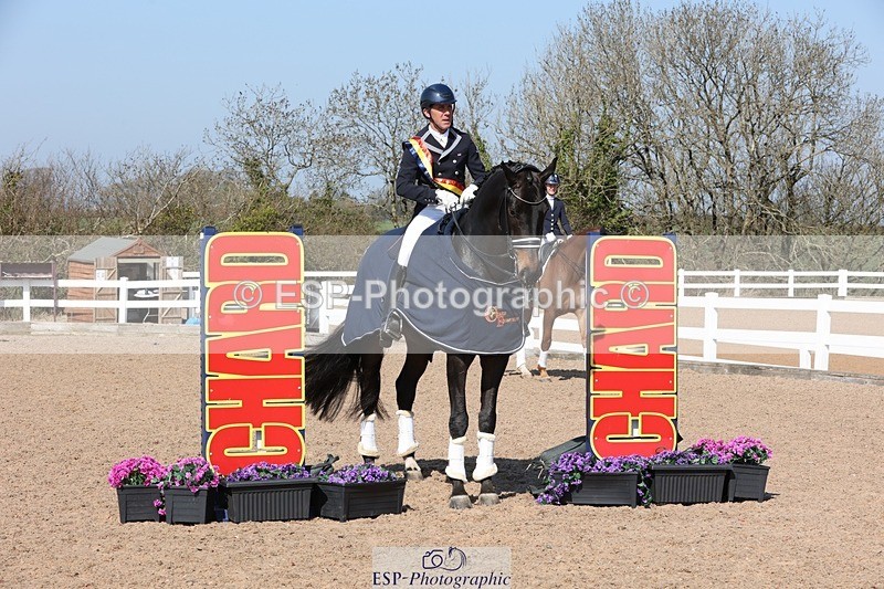 250405-112431-10132 - Cls 24 Young Horse 7YO Presentations