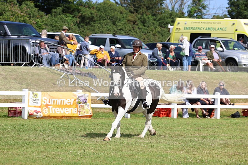 3E7A9933 - Class 5: Rising Star Lightweight/Heavyweight Cobs