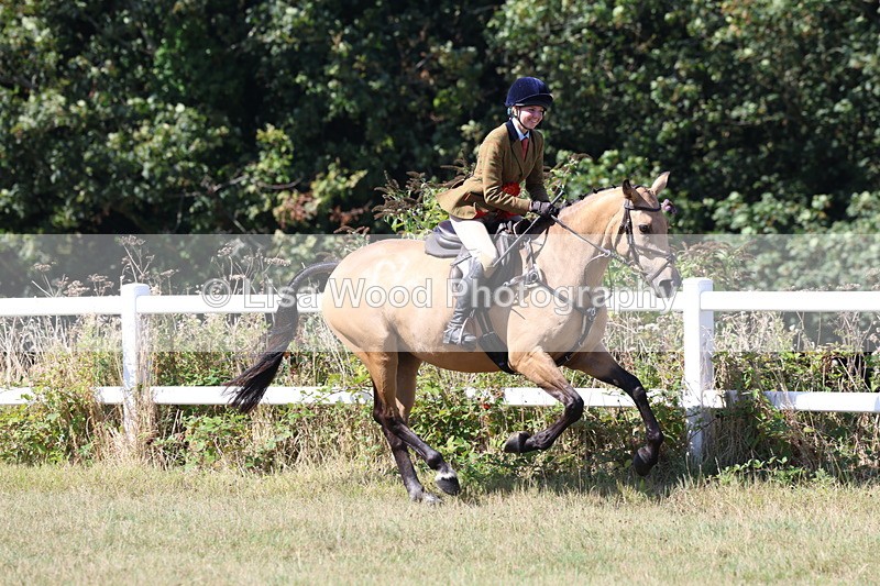 3E7A6306 - Class 6: Working Hunter 1m