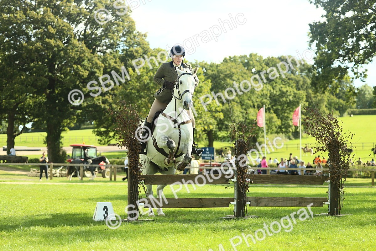 SBM_48053 - S32 - Novice & Newcomers Working Hunter