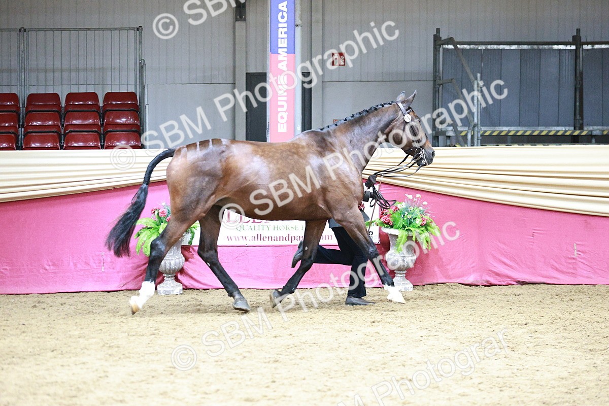 SBM_06624 - Regional - IH Champs