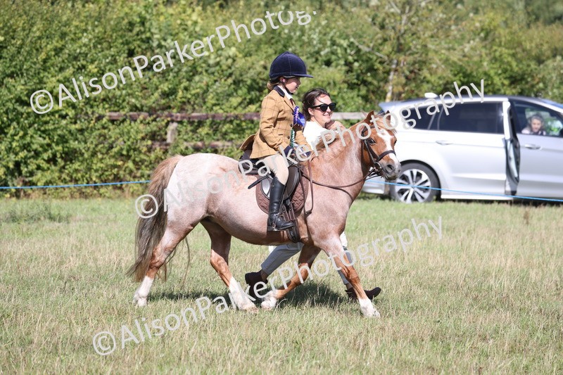 20260906-2356 - Class 16 - Family Pony