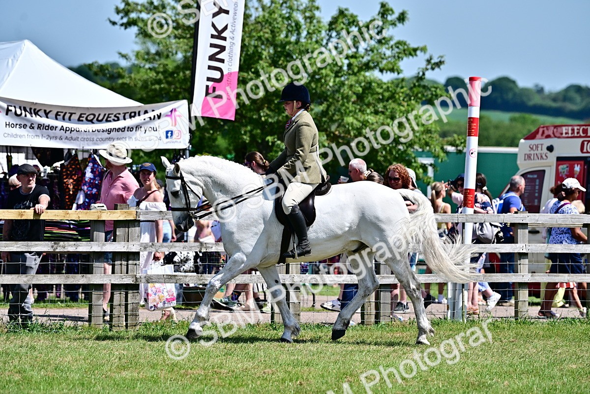SBM_17482 - Class 95-97 - BSPS LHS Performance Ponies