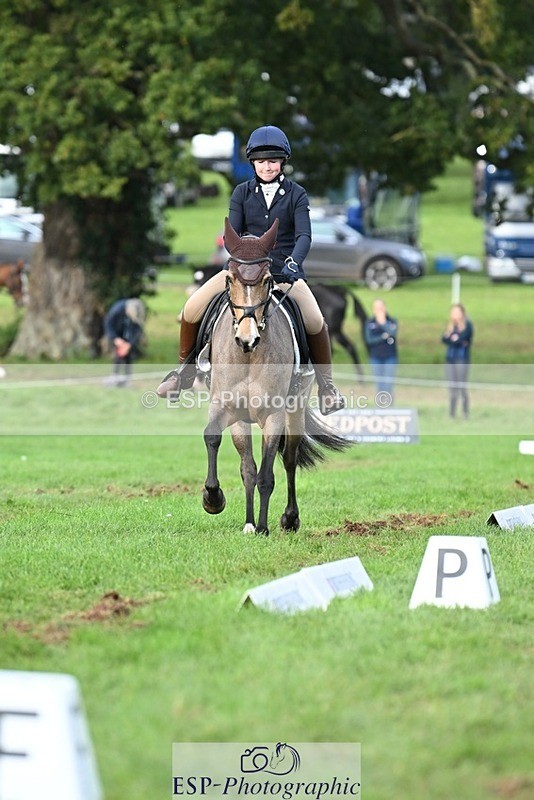 231020-161526-11650 - 558-BATHLEYHILLS.GOLDEN.SPRAY-Cleo.Whitbread-DR