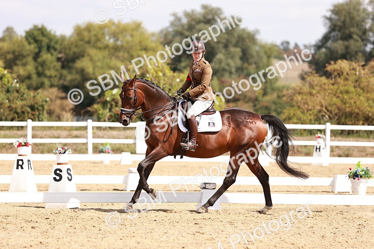 SBM_018425 - Class 17 - Novice 6