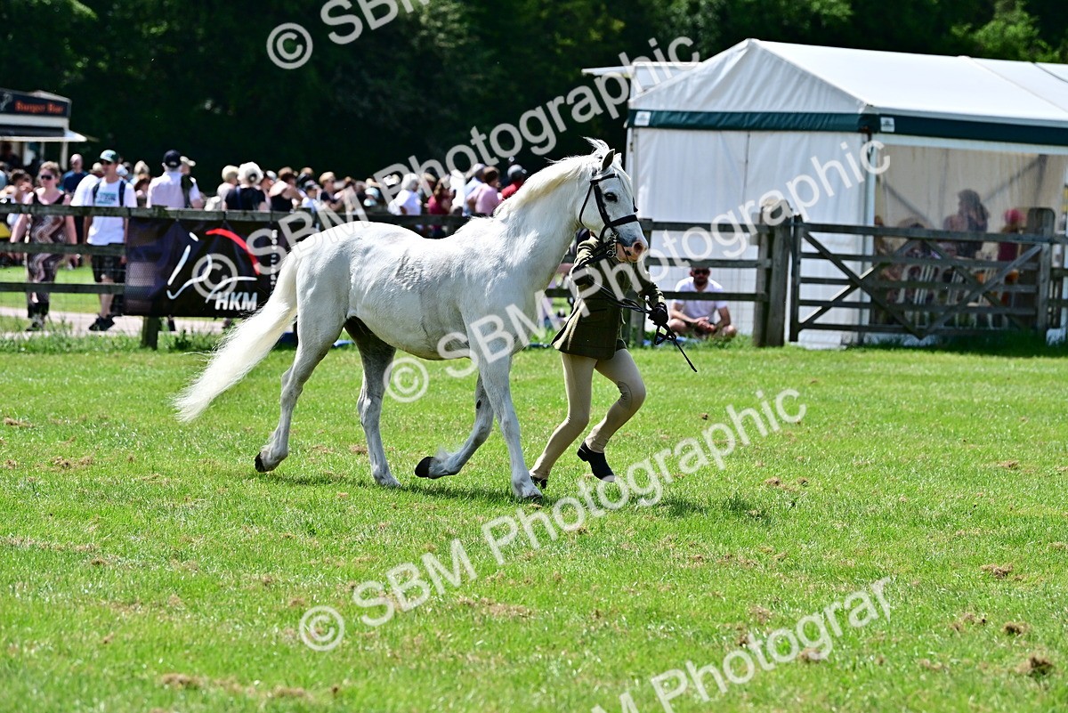 SBM_03896 - Class 58 - TSR  Ridden Veteran Amateur of the year