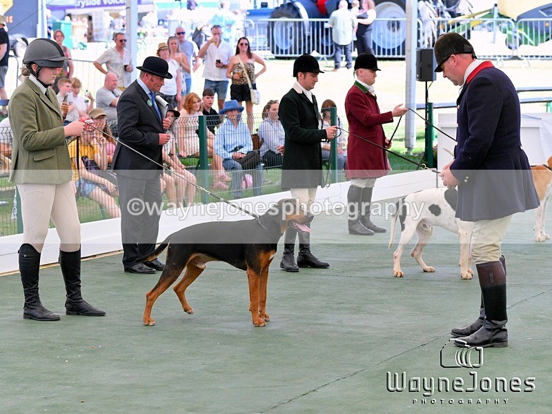 WJ5_0828 - Berks & Bucks at the Great Yorkshire Show 2025