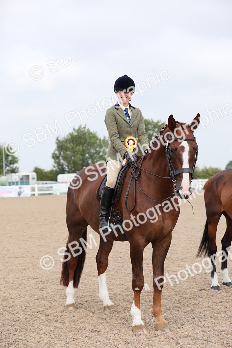 SBM_11484 - Class 305 Ridden Foreign Breeds- Pure Bred