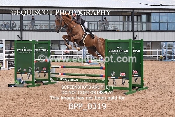 BPP_0319 - CLASS 26 SUN 5 Year Old Non Qualifier