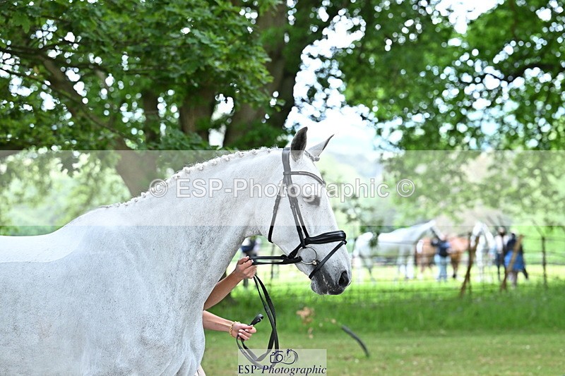 250521A-142918-00033 - A-066-Jemima.Howden-MONBEG.WHISPER